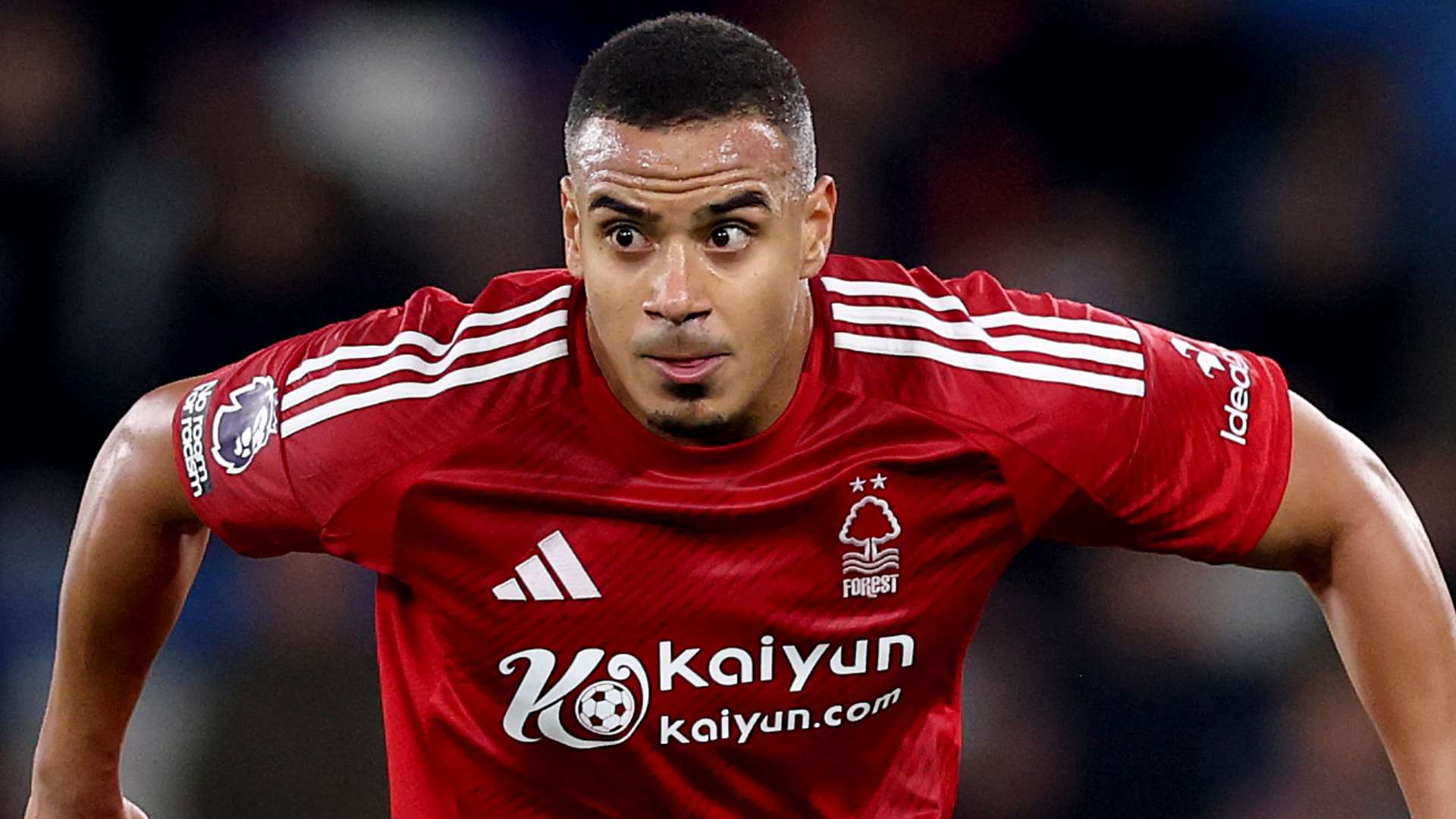 能会出现更 能会出现更