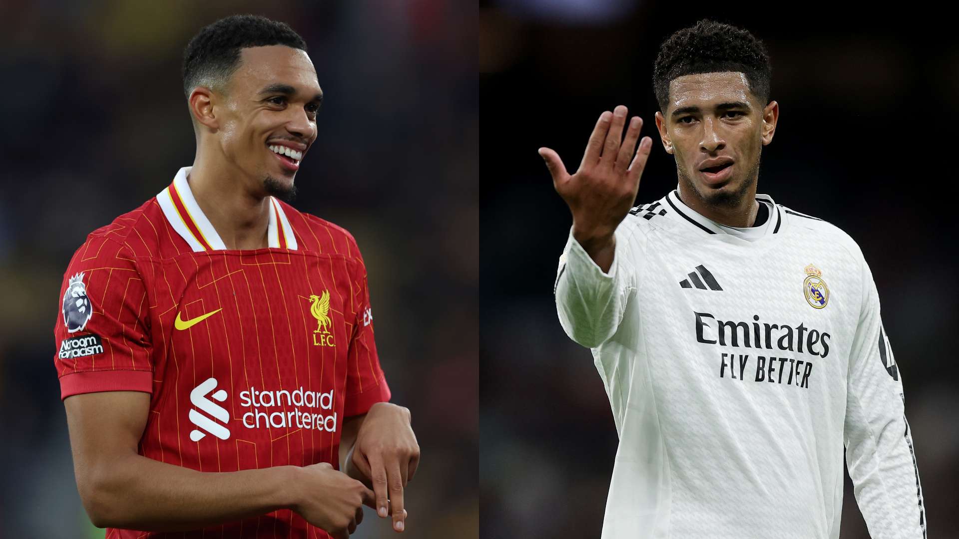 他们未来的 他们未来的